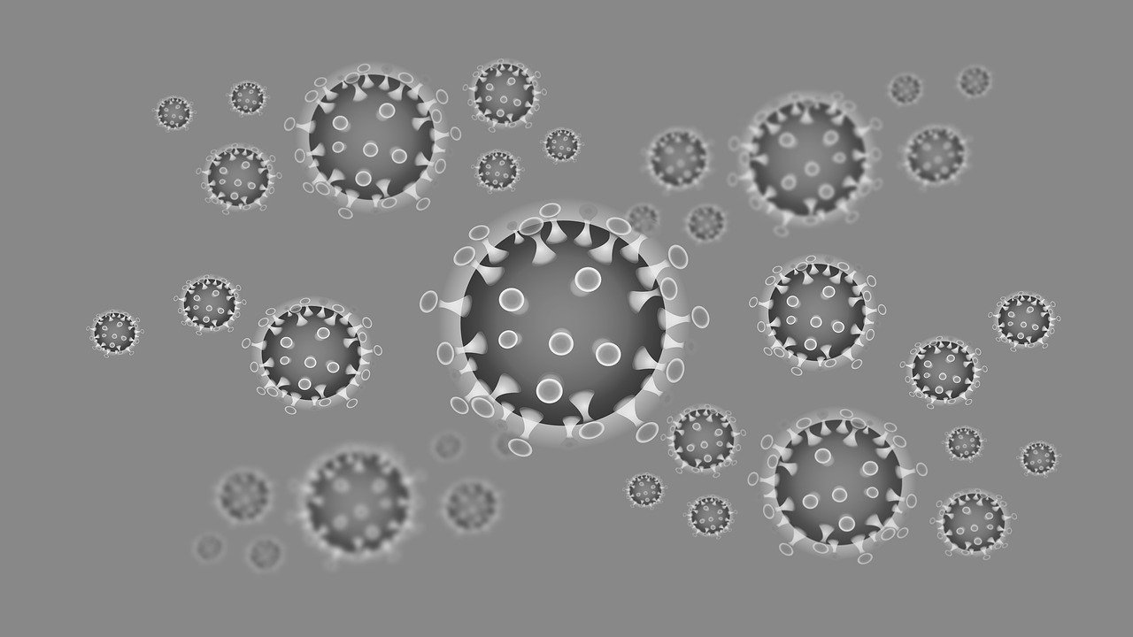Corona-Virus